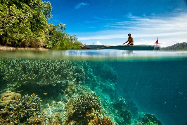 finding fishes in clear water