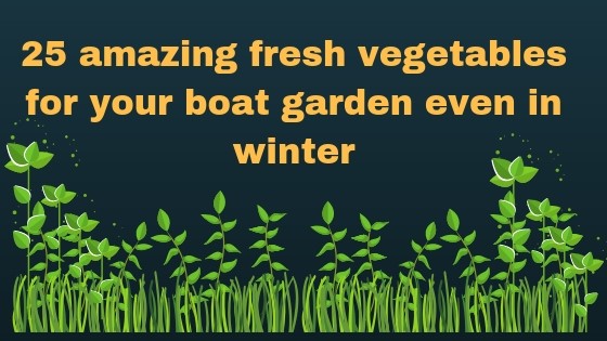 25 amazing vegetables for your boat garden even in winter