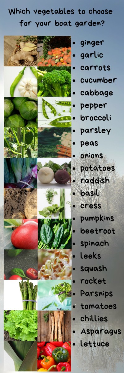 25 vegetables for a boat garden