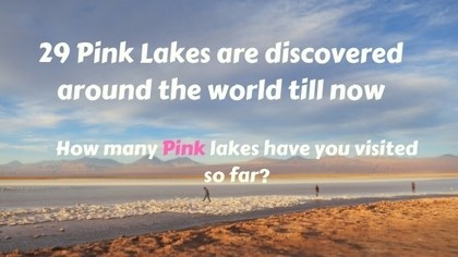 29 pink lakes