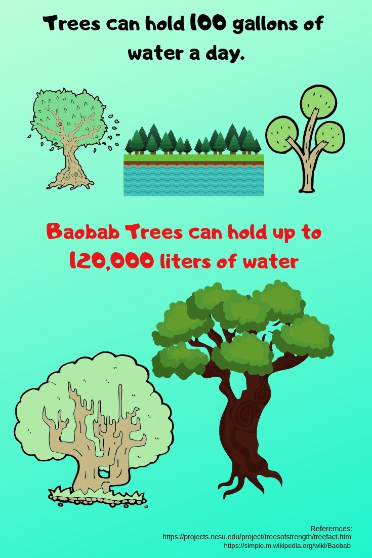 Baobab tree facts