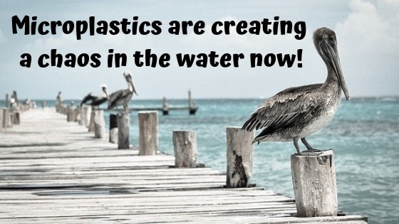 Micro plastics are causing a chaos in the water now