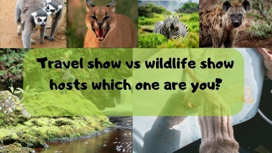 Travel show vs Wildlife show host