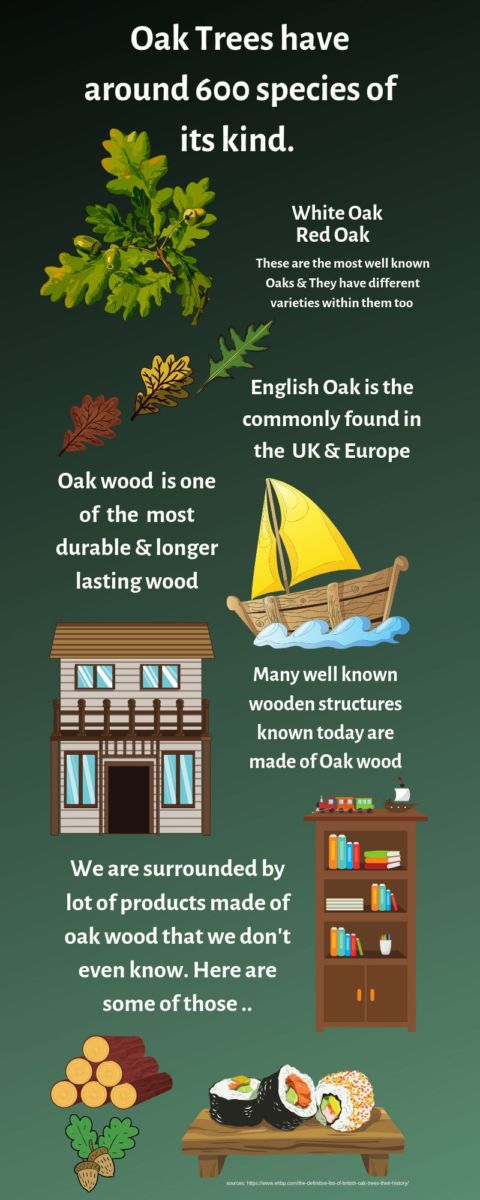 Oak tree benefits include