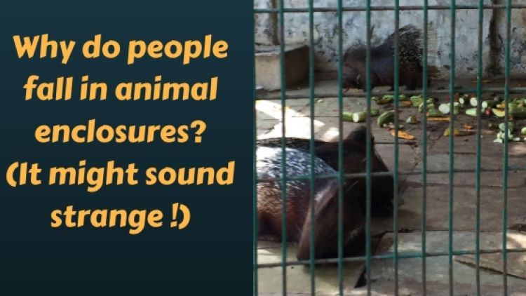 Conditions in an animal enclosure