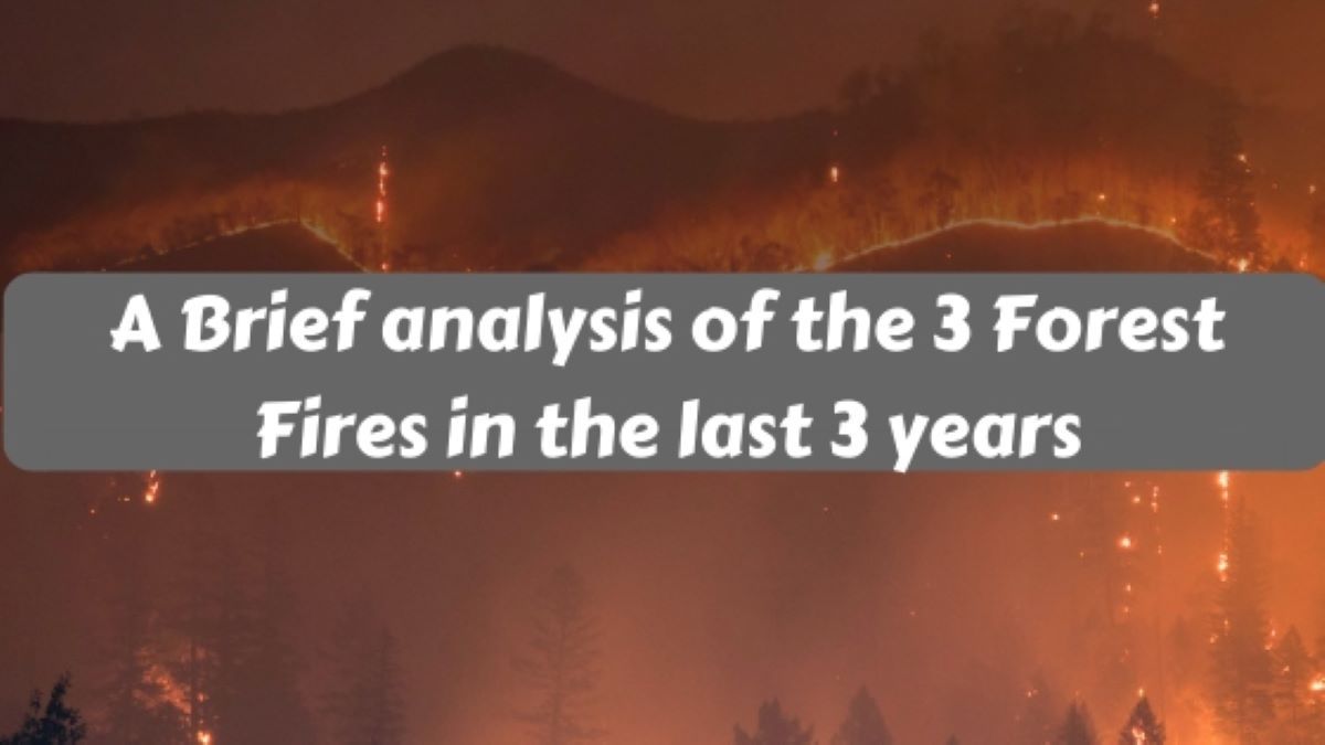 A Brief analysis of the 3 Forest Fires in the last 3 years