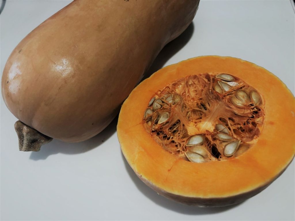 squash (vegetable)