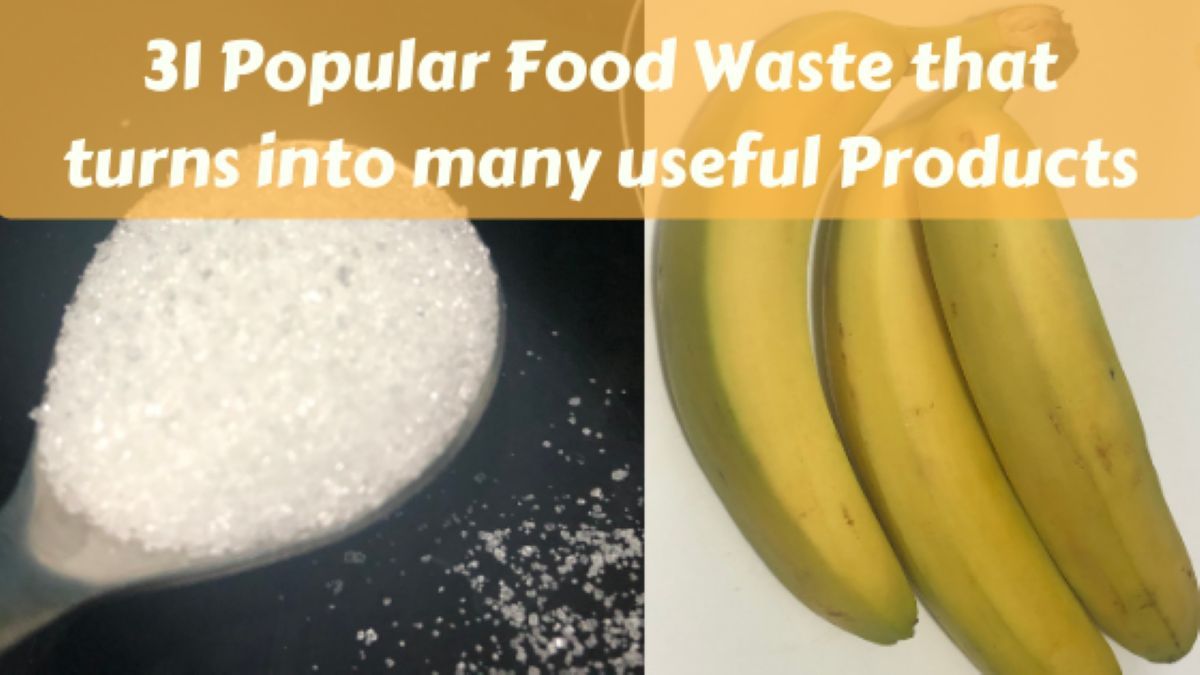 Food Waste that turns into many useful Products