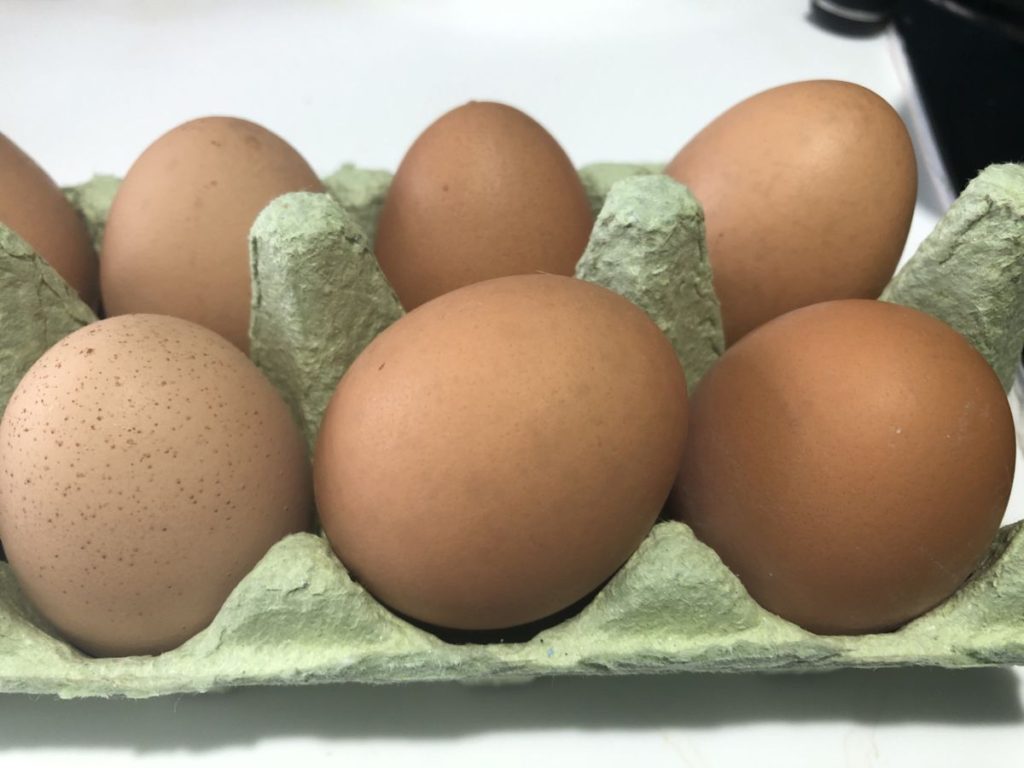 Free range dairy eggs 