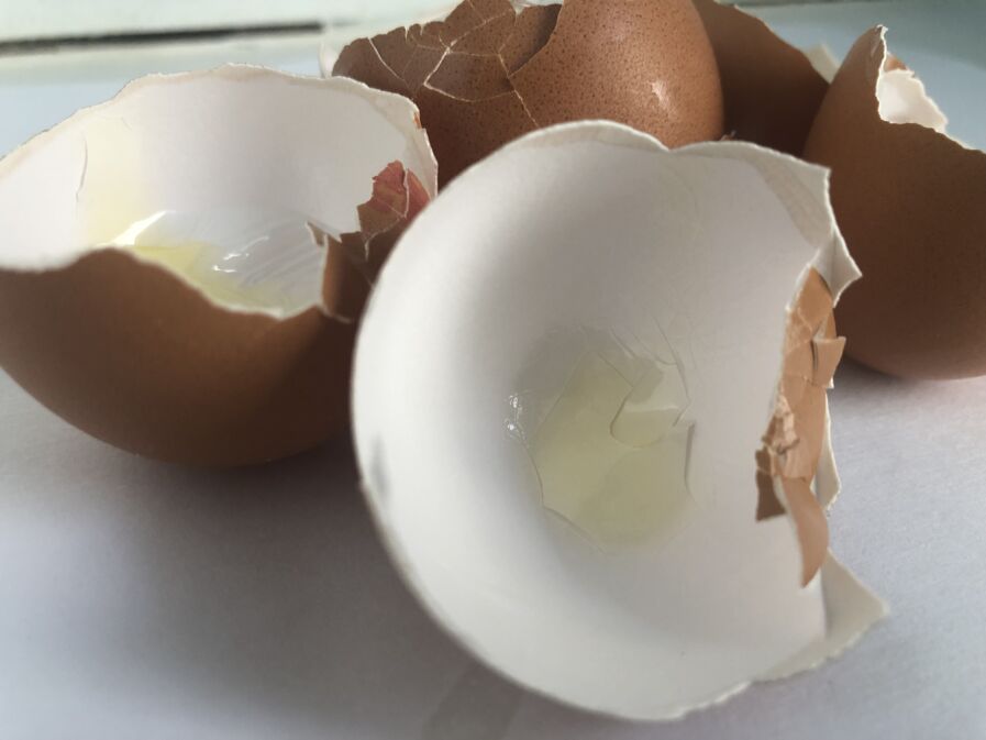 Cracked open Eggshells